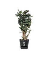 MACETA  GREENVILLE REDONDO 40CM NEGRO