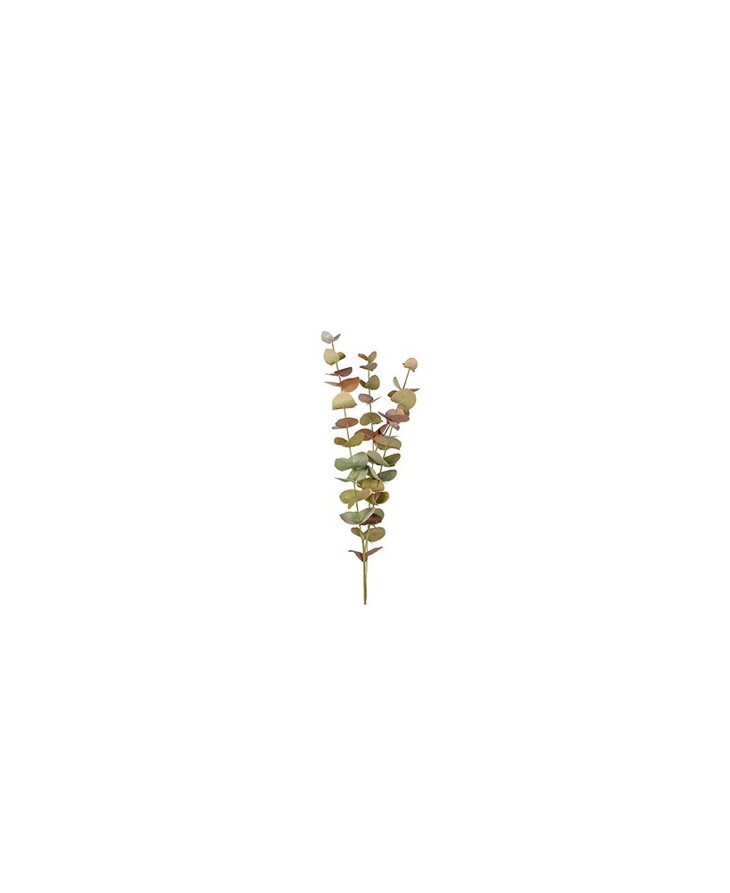 EUCALYPTUS H60CM