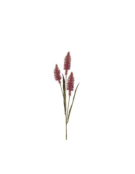 GRAS