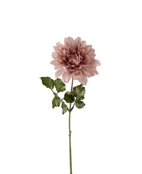 DAHLIA H45CM
