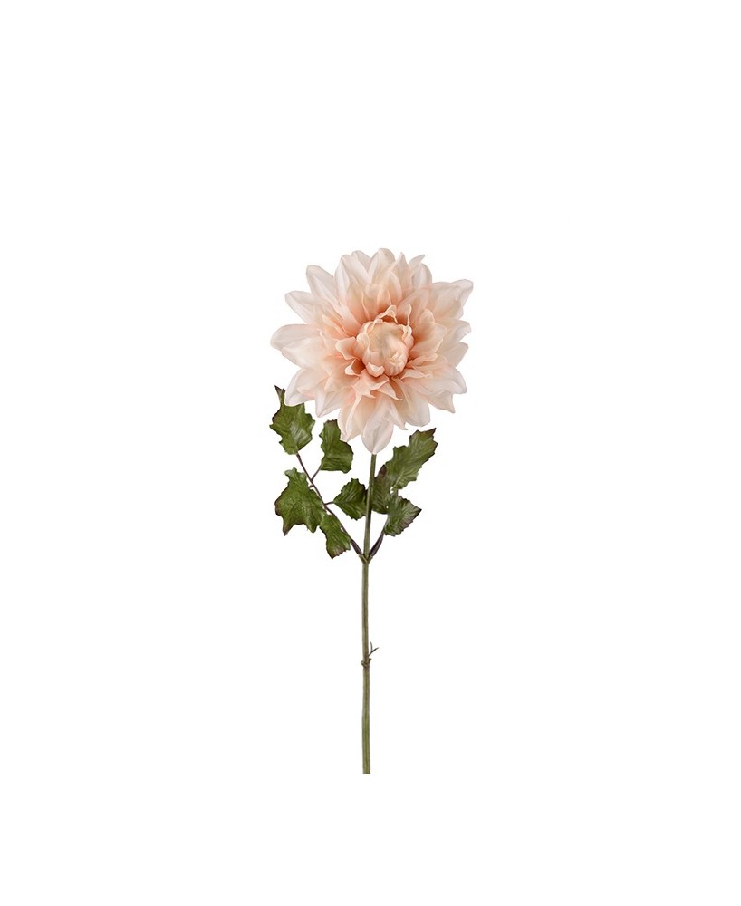 DAHLIA