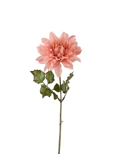 DAHLIA