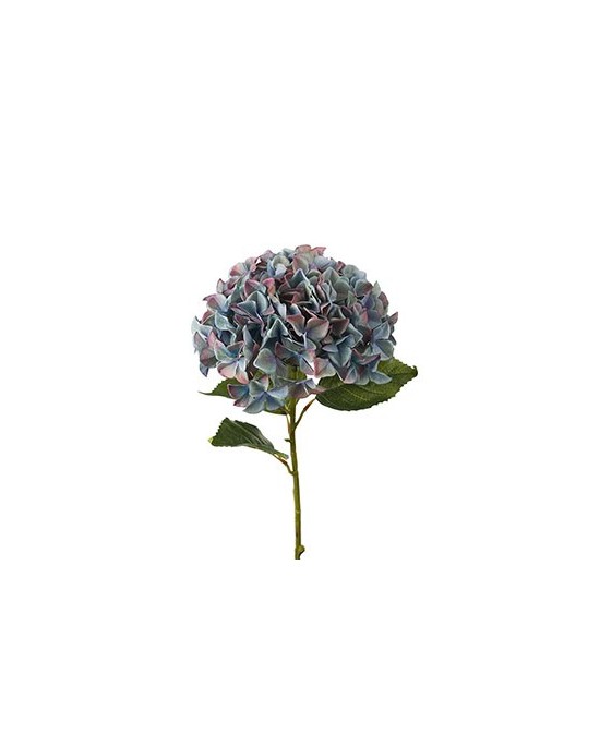 HORTENSIA H110CM AZUL