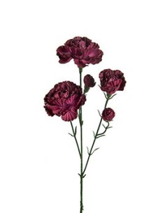 ELEGANCE NEJLIK