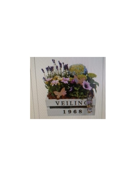 COMPOSICION HOUSE PLANTS PTPP2607