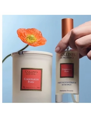 Perfume de Interior 100ml Amapola Fragancia Floral para Hogar y Oficina