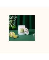 VELA PERFUMADA 180G BERGAMOTA FRESCA