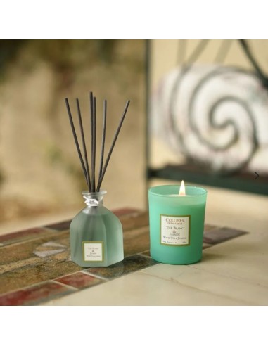 Ramo Perfumado Thé Blanc & Jasmin 100ml Aromas Frescos y Elegantes