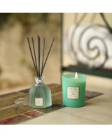 Ramo Perfumado Thé Blanc & Jasmin 100ml Aromas Frescos y Elegantes