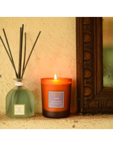 Ramo Perfumado Thé Blanc & Jasmin 100ml Aromas Frescos y Elegantes