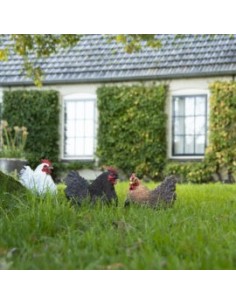 Figura Gallinas 25x16.8x21.3cm Decoración Rural para Hogar y Jardín 2