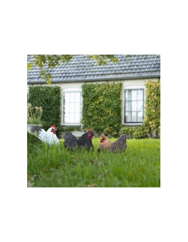 Figura Gallinas 25x16.8x21.3cm Decoración Rural para Hogar y Jardín