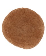 Fibra de Coco 25cm bol ecológico para plantas y jardinería