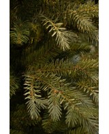 Pino Ardley Verde 230 cm - Árbol de Navidad Realista y Frondoso