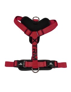 Arnés X-TRM Cronos Neon Flash Rojo/Negro 15mmx35-60cm para perros pequeños | Endanea Mascotas