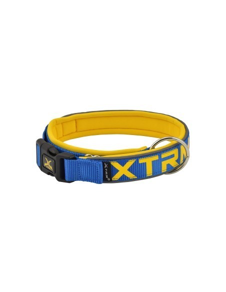 Collar X-TRM Neon Flash Cobalto 15mmx28-35cm | Collar Ajustable para Perros Pequeños