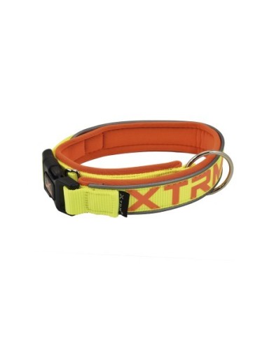 Collar X-TRM Neon Flash Limón 25mmx45-55cm para Perros Medianos  Seguridad y Estilo