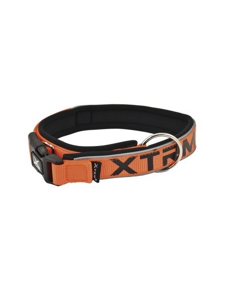 Collar X-TRM Neon Flash Naranja 38mmx50-70cm | Seguro y Visible para Perros Medianos y Grandes