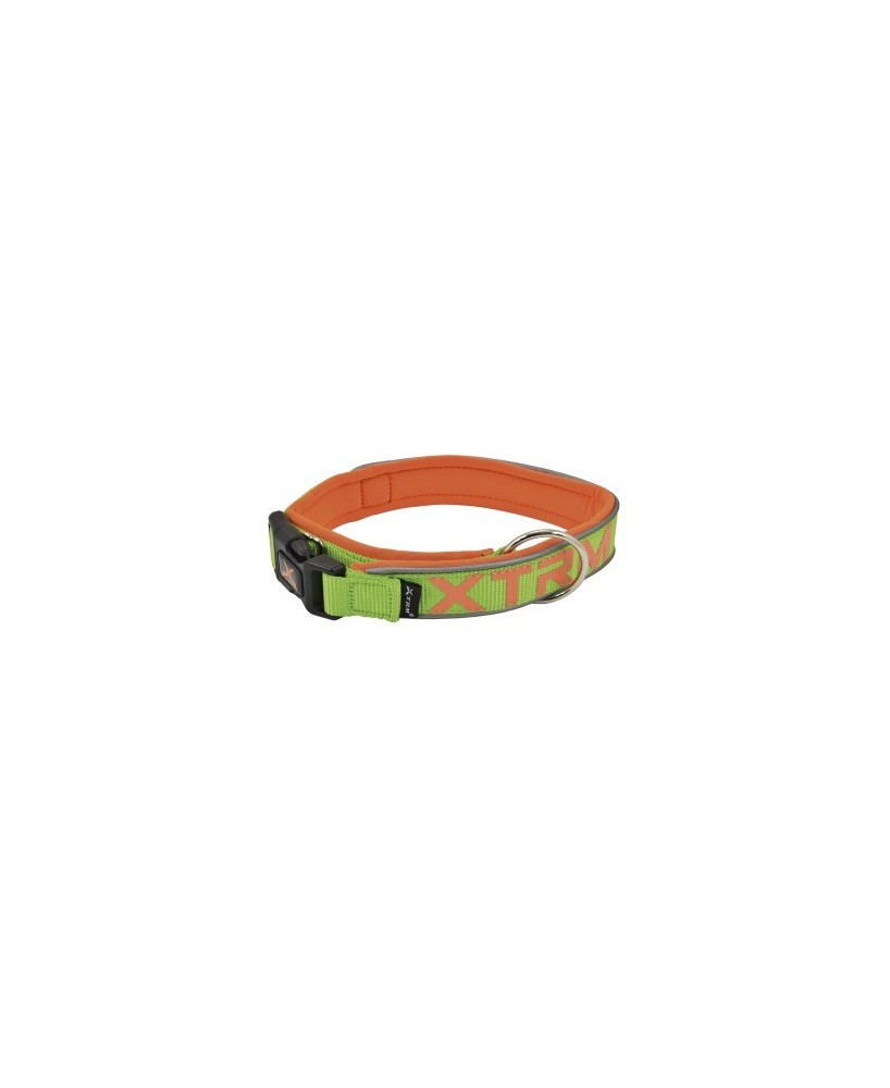 Collar X-TRM Neon Flash Verde 25mmx45-55cm | Collar ajustable para perros medianos y grandes