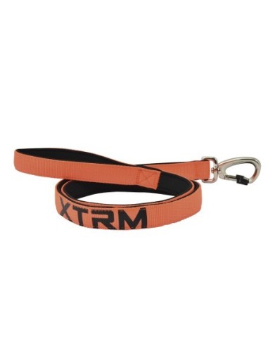 Correa X-TRM Neon Flash Naranja 25mm x 120cm  Seguridad y Estilo para Perros Medianos y Grandes