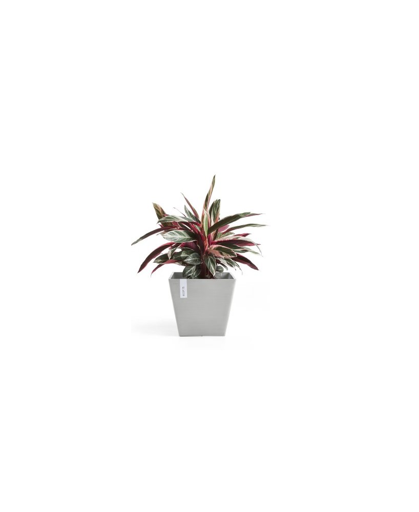 Tiesto ROTERDAM 30 White Grey  Maceta Moderna y Resistente para Interior y Exterior

