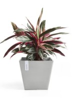 Tiesto ROTERDAM 30 White Grey  Maceta Moderna y Resistente para Interior y Exterior

