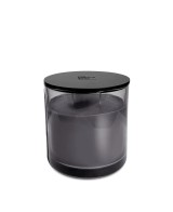 VELA GREY L LIMA PEONIAS