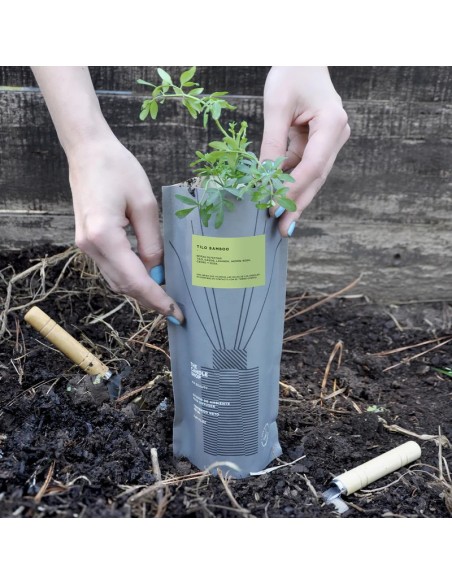 DIFUSOR BASIC COMPOST PACK TILO BAMBOO