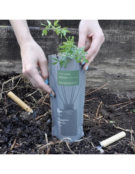 DIFUSOR BASIC COMPOST PACK CEDRO VERBENA