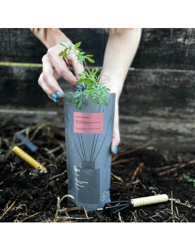 DIFUSOR BASIC COMPOST PACK LIMA PEONIAS