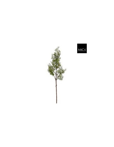 Rama de Cedro Verde 80 cm Decoración Natural Navideña y Rústica