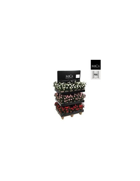 ROSAL ROJO 11.5X33CM EN MACETA