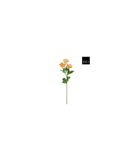 RANUNCULUS  62CM