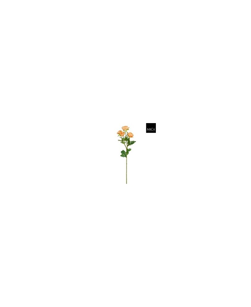 RANUNCULUS  62CM