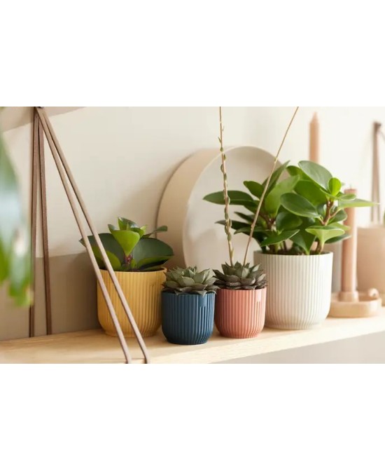 MACETA  MINI 7 ROSA