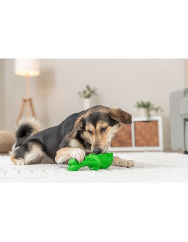 Snack Cocodrilo 18 cm Verde Juguete para Perros Resistente y Seguro