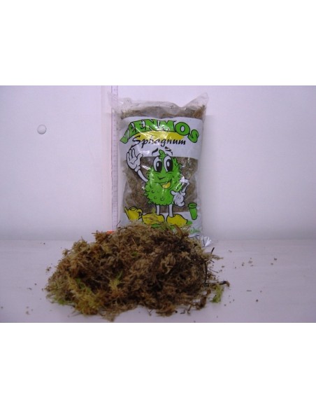 Moss Sphagnum Bag Musgo Natural para Jardinería Decoración y Cuidado de Plantas