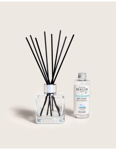 Bouquet Glacon Vent Océan Endanea Garden Aroma Fresco Marino