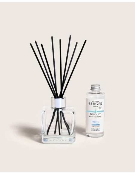 Bouquet Glacon Vent Océan Endanea Garden Aroma Fresco Marino