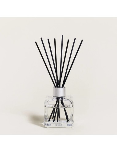 Bouquet Glacon Vent Océan Endanea Garden Aroma Fresco Marino