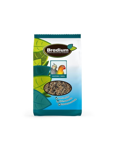 BRADIUM MIXTURA AGAPORNIS Y NINFAS BIG 4000GR APROX
