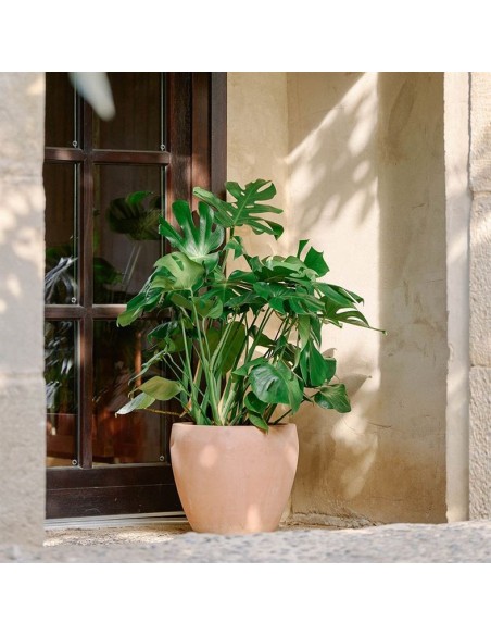 Maceta Campana Delta Antic Terracota 59x50cm para Jardín y Terraza | Endanea Garden