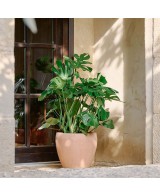 Maceta Campana Delta Antic Terracota 59x50cm para Jardín y Terraza | Endanea Garden