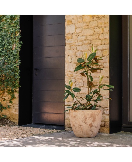 Maceta Campana Delta Antic Terracota 59x50cm para Jardín y Terraza | Endanea Garden