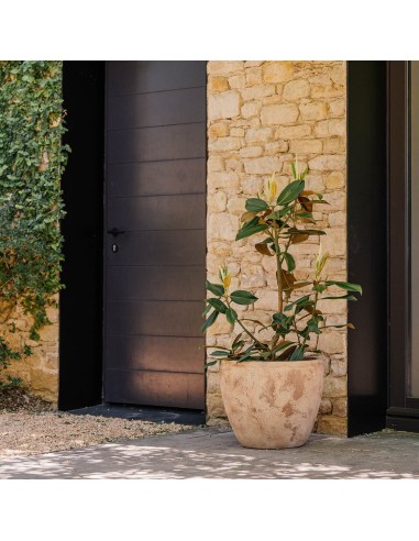 Maceta Campana Delta Antic Terracota 59x50cm para Jardín y Terraza | Endanea Garden