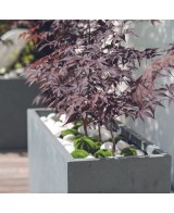 Jardinera de Muro Gypse Gris 78cm Durable y Estilizada para Exteriores