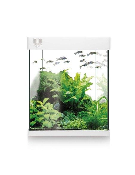 Kit Nano AquaLED 10L - Acuario Compacto con Iluminación LED y Filtración | Endanea Garden