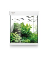 Kit Nano AquaLED 10L - Acuario Compacto con Iluminación LED y Filtración | Endanea Garden