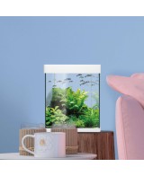 Kit Nano AquaLED 10L - Acuario Compacto con Iluminación LED y Filtración | Endanea Garden