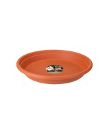 Plato Redondo Universal Tierra 19cm  Protección y Estilo para Macetas | Endanea Garden

